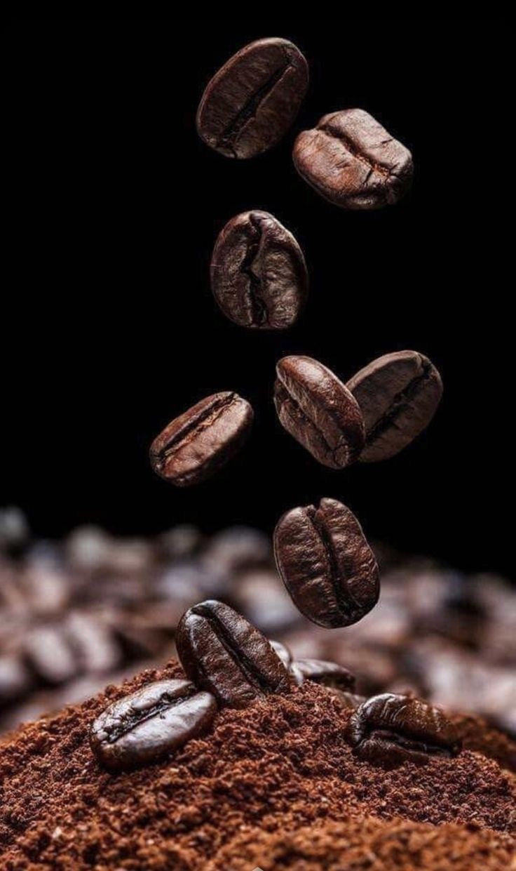Café en granos